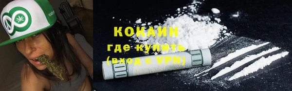 гидропоника Новозыбков