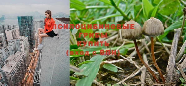 jwh Новокубанск