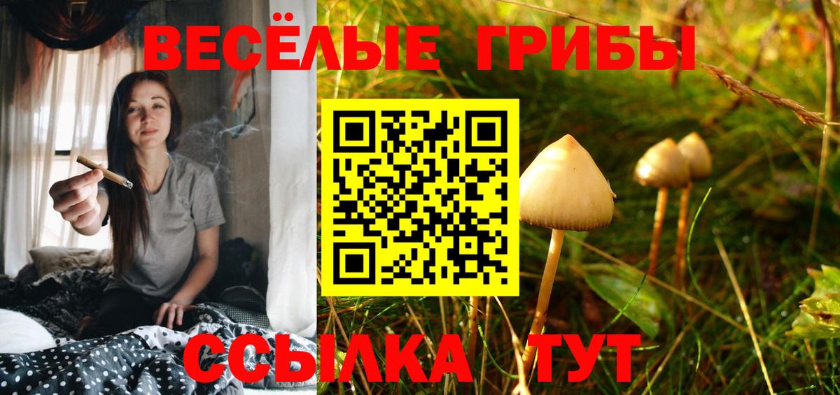 Галлюциногенные грибы мицелий  Вход с VPN  Биробиджан 
